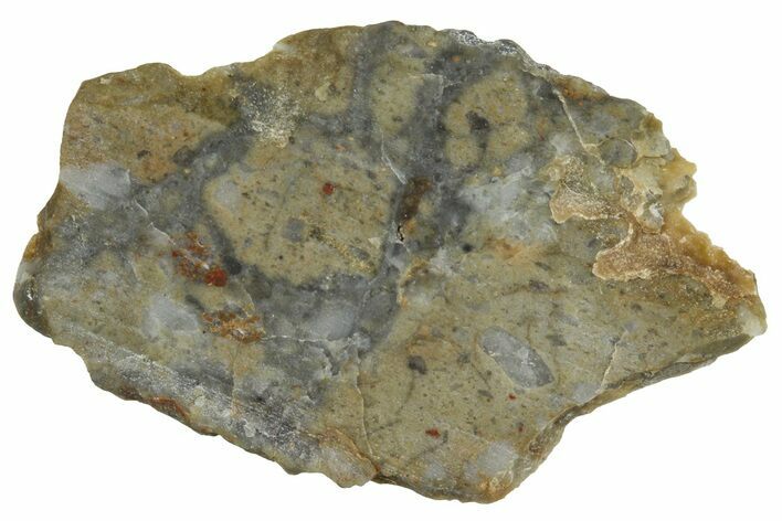 NWA Lunar Meteorite ( g) Slice #360583